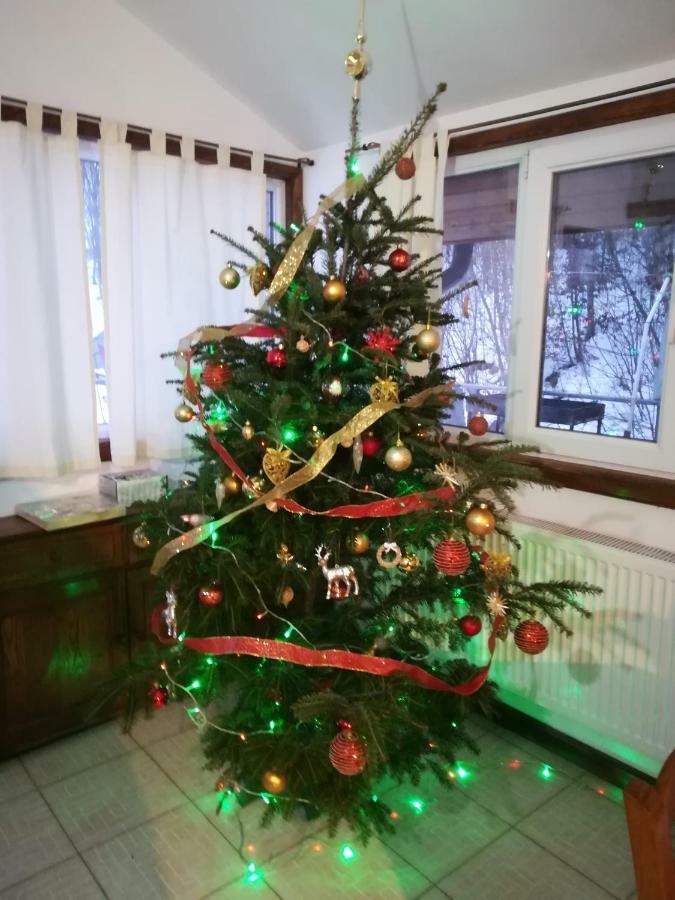 קורטאה דה ארגס Vila Margareta מראה חיצוני תמונה
